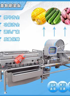 连式续天清麻清洗机现货供 应涡流净VEH菜生产线设备 香辛料洗流