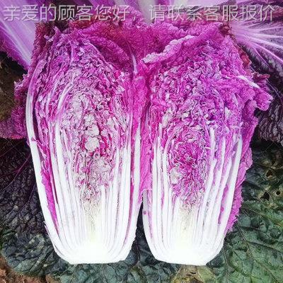 白头切半机菜 韩国泡菜 东北酸菜 品加工高效代替人食工 CIG源厂