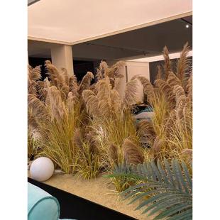 天然秋色芦苇干花枯草室内景观造景北欧ins风假植物橱窗落地摆件