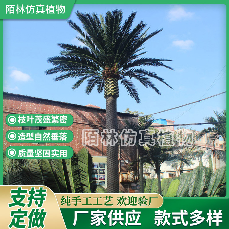 仿真海藻树定制真树开模室外假椰子树大王椰景观仿真海枣树棕榈树