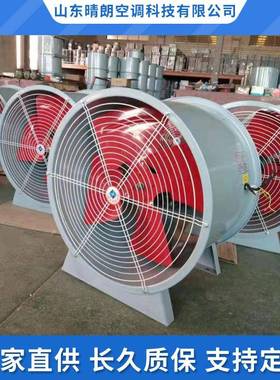 BZF51防爆轴流风机工业级220v380v排风扇CBF-250BAF6-4管道通风机