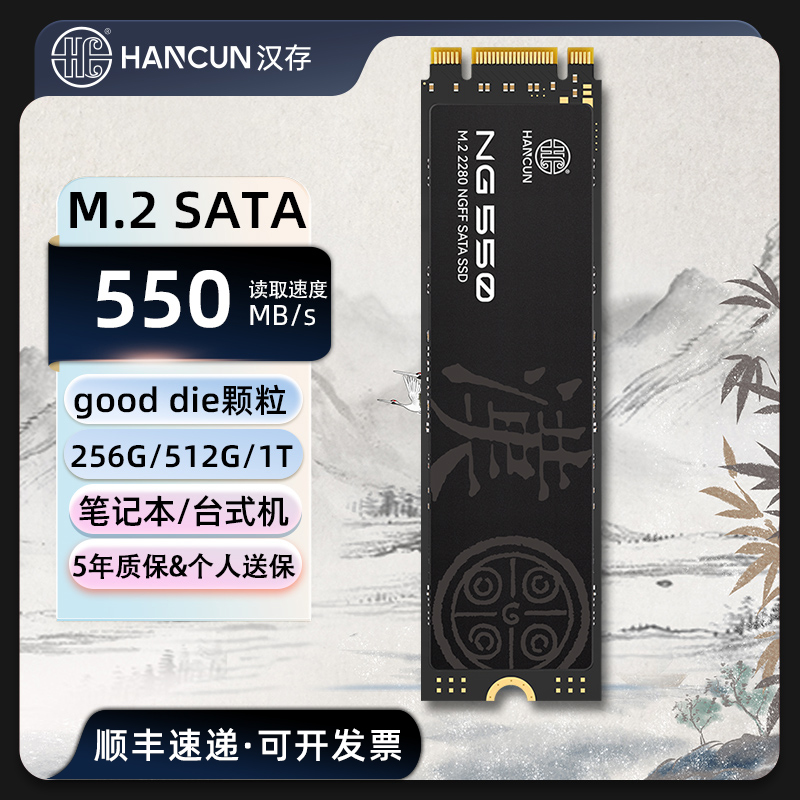 汉存NG5501T256G固态硬盘