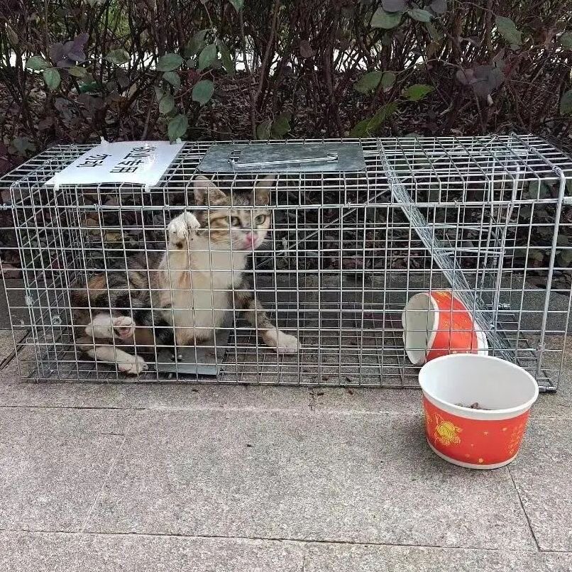 抓猫笼捕猫器救助捉猫笼新款抓猫神器捕猫笼自动逮猫神器驱赶野猫