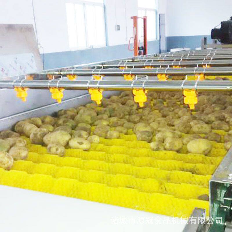 连续式萝卜毛辊清洗机 厂家供应果蔬清洗脱皮机 红薯毛辊去泥机