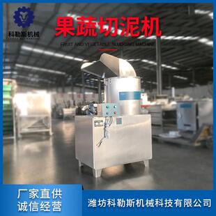 CN500全自动蔬菜打浆机 山药打泥机 腌菜打浆设备 水果搅碎机