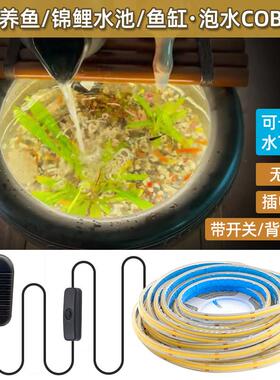 古法鱼缸12V水池下户外幻彩灌胶灯带24V高亮COB防水led氛围潜水灯