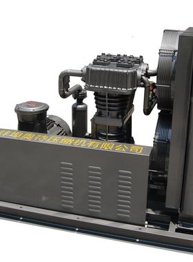 氯气往复式容积式气阀氯气厂家直购循环BTCT增压泵压缩机防爆