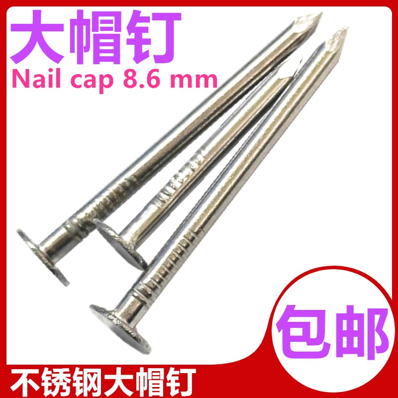 锯锋不锈钢毛沾钉大帽钉子 大圆头扁头平头油沾钉3238mm453毫米粗