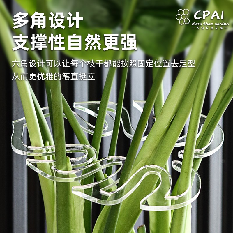 植物绿植龟背竹支撑杆花架金钱树固定器花卉支撑架防倒伏春雨支架