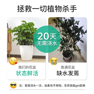 大绿萝花盆自动吸水北欧落地客厅懒人家用圆形大号花盆白色塑料盆