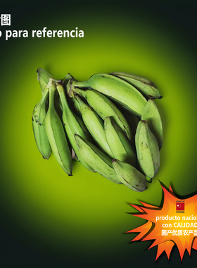 1.5Kg plátanos crudos para patacones/fresh plantains芭蕉