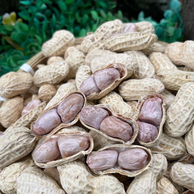 正宗农家特产河源忠信水煮