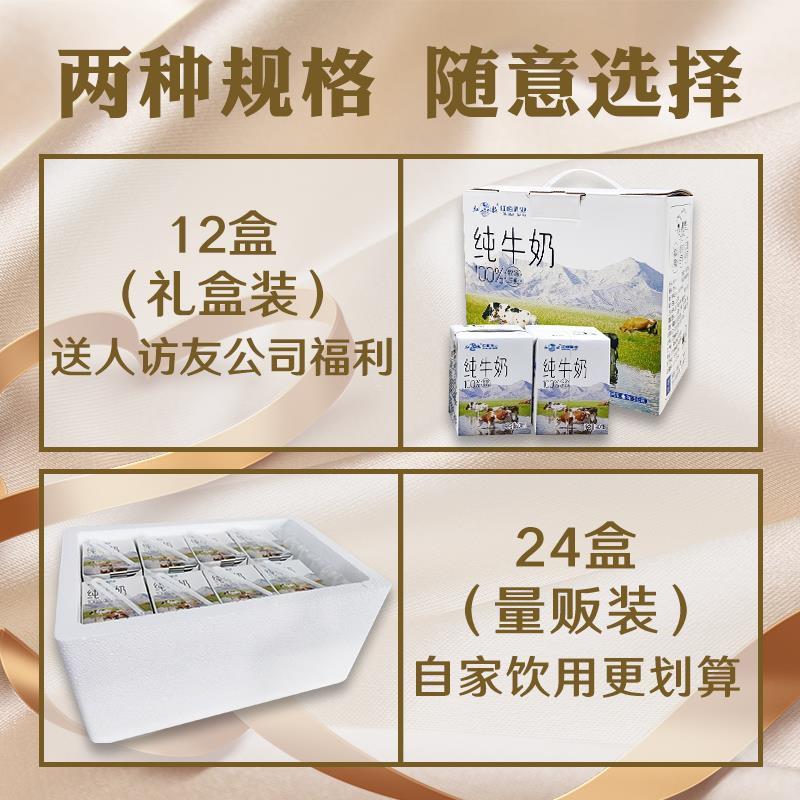 红梅乳业新品纯牛奶 小盒装 新品上市