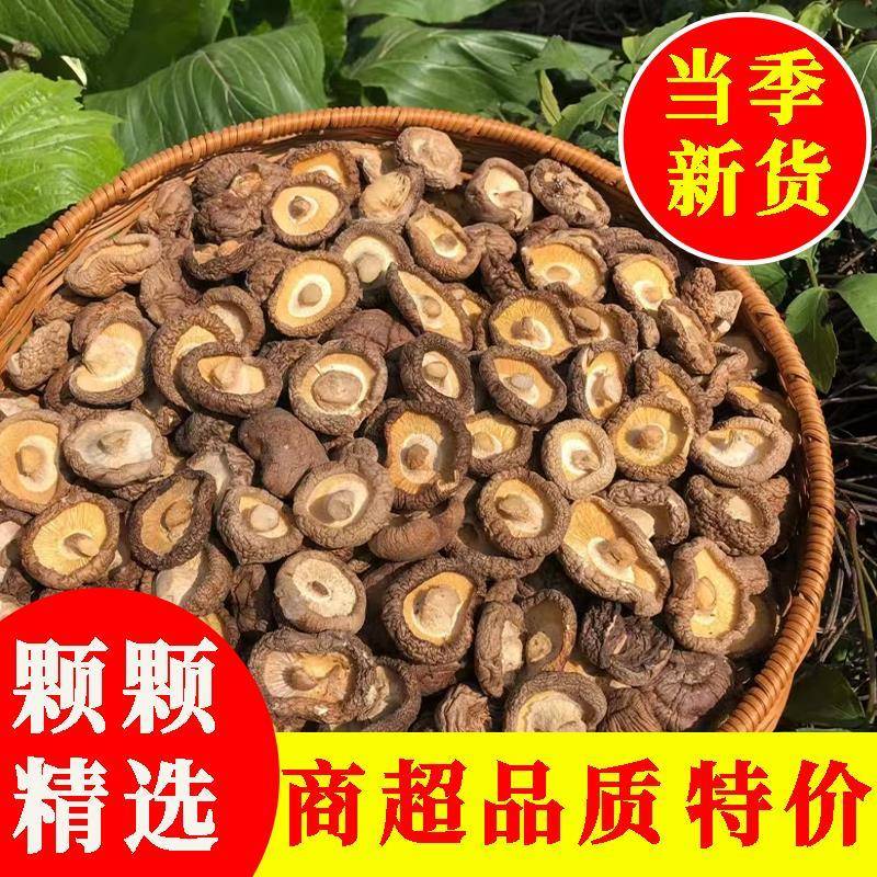 东北地产香菇500g干 干货商用散装野生小蘑菇菌菇香茹冬菇花菇