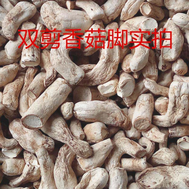 香菇脚干货商用500g干香菇根双剪干香菇腿大香菇脚丁云南香菇菌脚