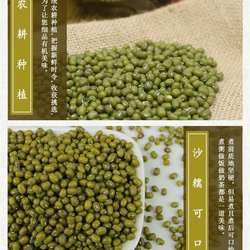 正宗2024年新豆内蒙古赤峰绿豆生豆芽绿豆粥五斤真空