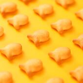 正宗俄罗斯进口苏打饼干小鱼形状全发酵咸味小零食儿童乐400克装