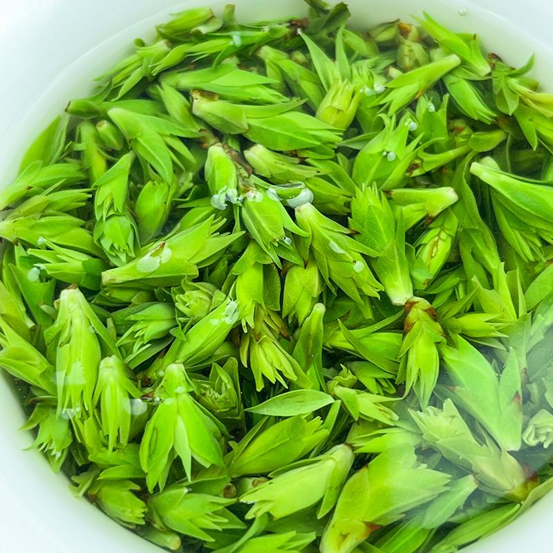 正宗2025年头采正宗小叶米芽苦丁茶四川峨眉山茶早春特级嫩芽青山