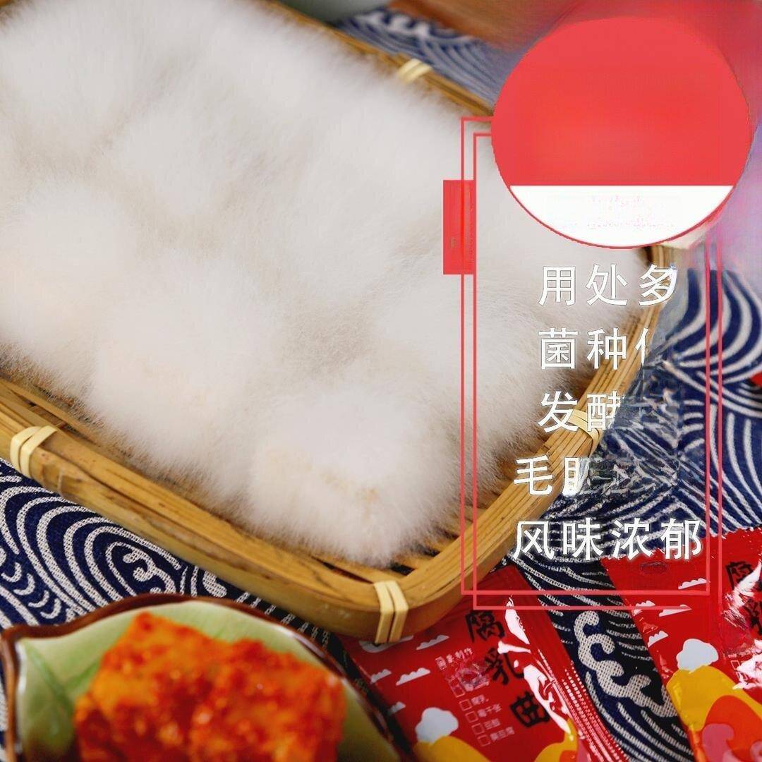 腐乳曲粉正宗霉豆腐曲子自制长白毛臭豆腐毛豆腐发酵菌米