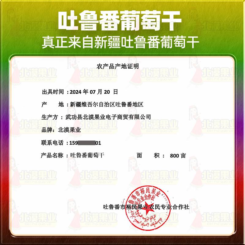 正宗新疆特产吐鲁番树上黄葡萄干无核即食黄提子干大颗粒零食优质