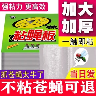 苍蝇贴强力粘苍蝇纸粘蝇板药沾蚊杀手捕捉器灭蝇子神器一扫光家用