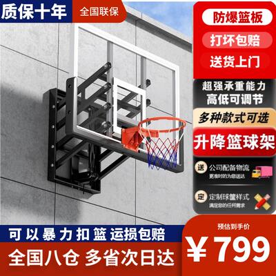 勇试壁挂式篮球架成人家用