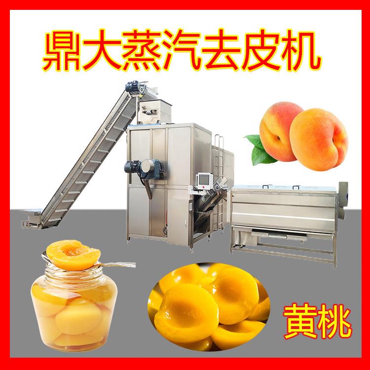全自动黄桃蒸汽去皮机黄桃罐头加工去皮机黄桃剥皮机工业