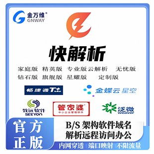 金万维快解析专业版无忧版域名云解析远程访问穿透内网端口映射
