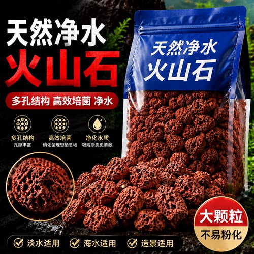 火山石鱼缸培菌净水古法养鱼造景