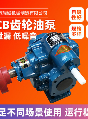 齿轮油泵KCB-200-960整机单相220V机油泵液压泵三相380V高压泵