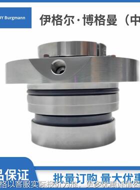 上海大连博格曼机封11/25-SHF5/147-E4集装密封件