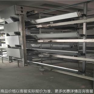 自动捡蛋机 拾蛋装置 占地面积小 节约土地集约化程度高