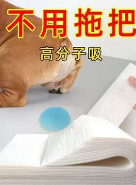 狗狗吸尿吸尿纸尿片宠物速干猫咪纸尿片尿布纸神器一次性加厚吸水