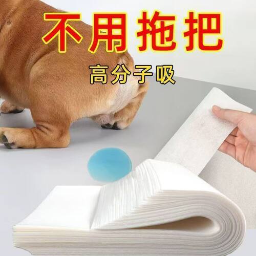 狗狗吸尿吸尿纸尿片宠物速干猫咪纸尿片尿布纸神器一次性加厚吸水