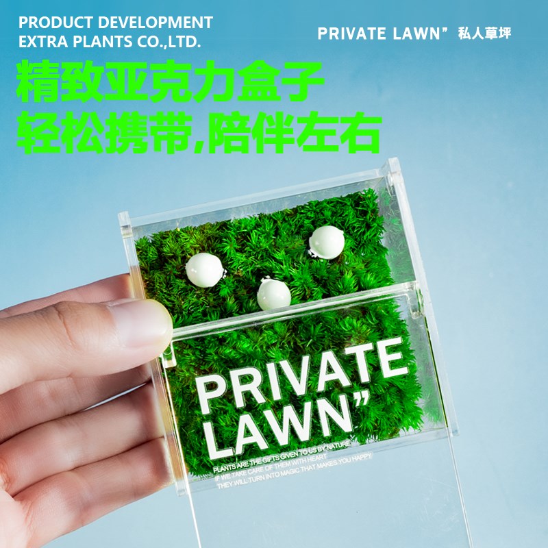 私人草坪苔藓微景观办公室桌面小植物盆栽创意造景绿植生日礼物