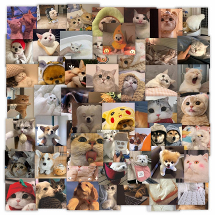 56张可爱猫咪表情包贴纸DIY手机壳笔记本电脑ipad保温杯这么前面电梯门储物箱充电宝玻璃布景装饰不干胶贴纸