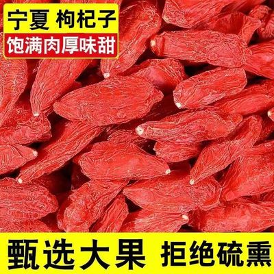 新货枸杞子500g罐装袋装免洗宁夏中宁特级头茬大颗粒枸杞干10g