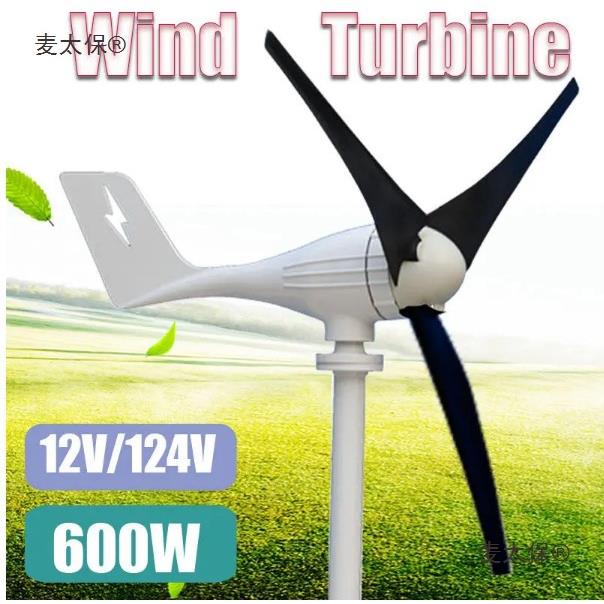 FYFD-1000W风力发电机12V 24V 48V风车替代能源发电机带MPP麦太保