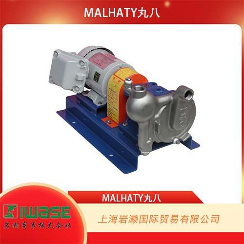 ，联轴器直接连接型 小型螺旋泵MSG2-32DR