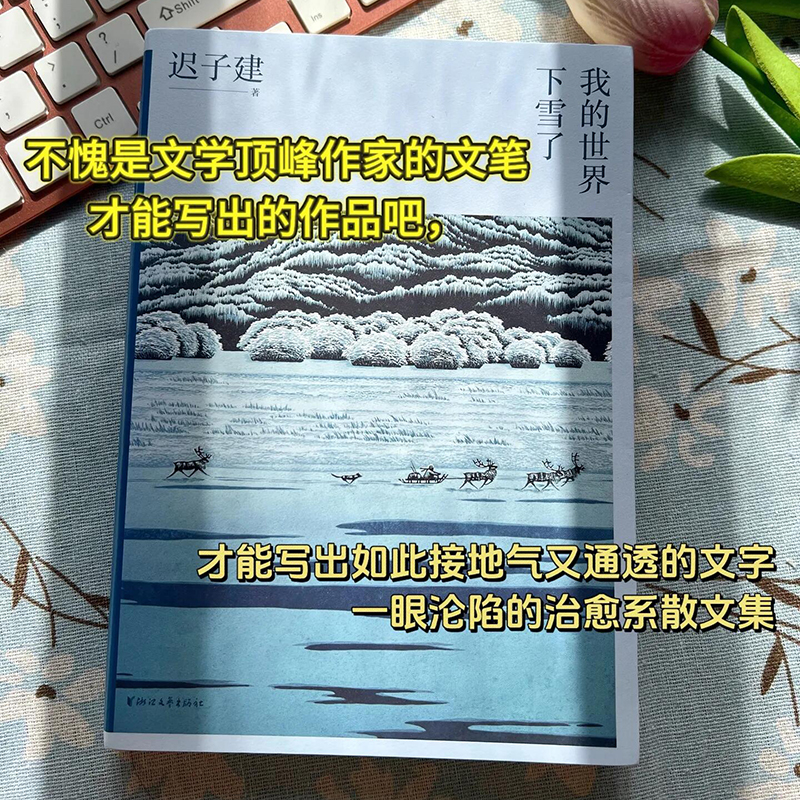 【迟子建著】我的世界下雪了