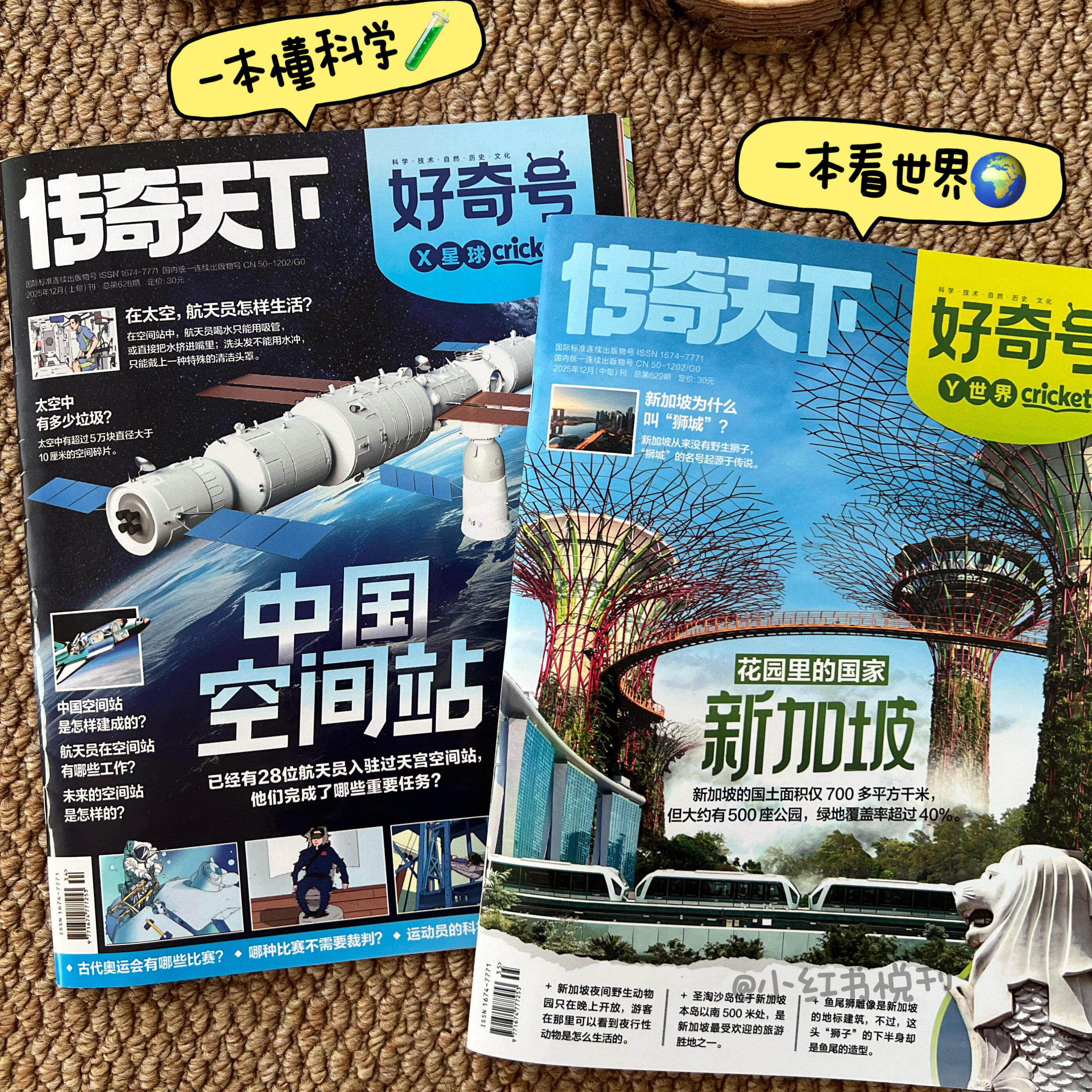 好奇号2025年12月新加坡专题好奇号2025杂志过刊往期24年过刊新刊2026年订阅好奇号传奇天下6-12岁青少年中小学生课外阅读科普杂志