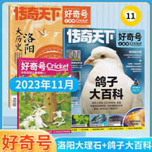 好奇号杂志2023年11月过刊清仓鸽子大百科+洛阳大历史期刊少儿6-12岁小学生课外阅读科普自然历史文化百科三四五六年级课外书阅读