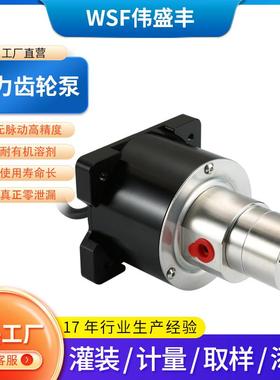 0.6CC磁力齿轮泵有机溶剂取样泵不锈钢微型齿轮泵仪器管道清洗泵