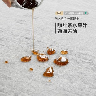 轻奢高级现代简约家用沙发茶几卧室地垫 地毯客厅免洗可擦2024新款