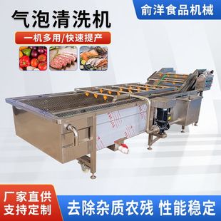 全自动水果气浪式清洗机果蔬气泡清洗机柑橘高压气泡清洗机械设备