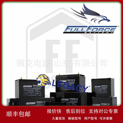 美国FULLFORCE蓄电池HC140/GC12、HC175/4DLT、HC225/8D铅酸电瓶