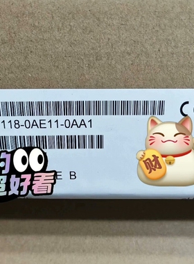 6SN1118-0AE11-0AA1  轴卡