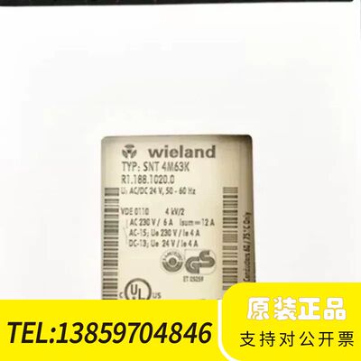 SNT4M63K威琅安全继电器R1.188.10议价