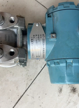 议价WT-2000系列智能压力变送器，型号WT2000DP2S要