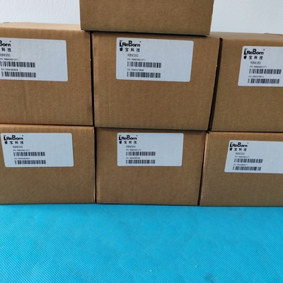 睿宝真空计RBM350，100Torr测量范围，型号RB